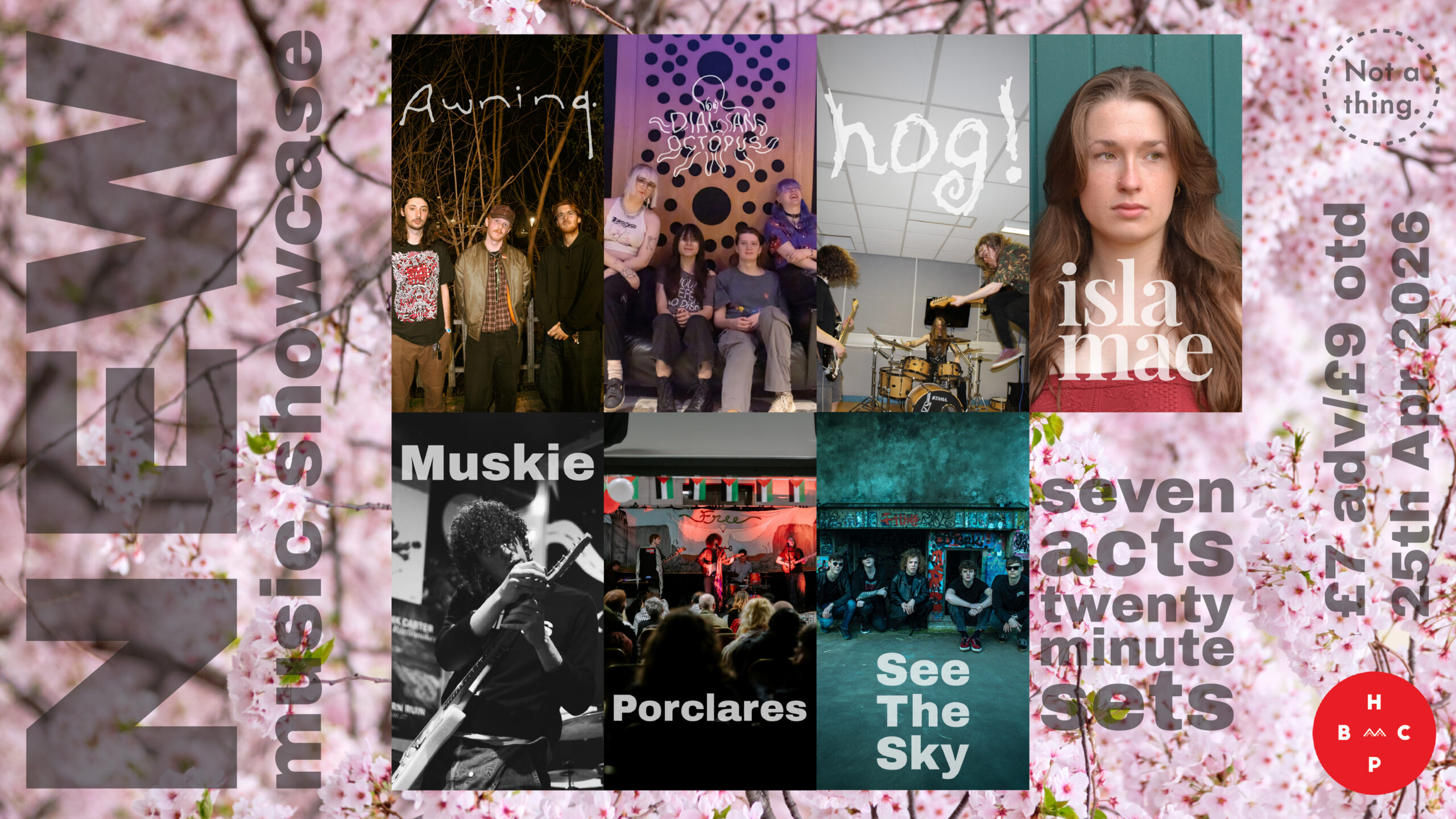 New Music Showcase 4: Awning / Dial-An-Octopus / hog! / Isla Mae / Muskie / Porclares / See The Sky poster