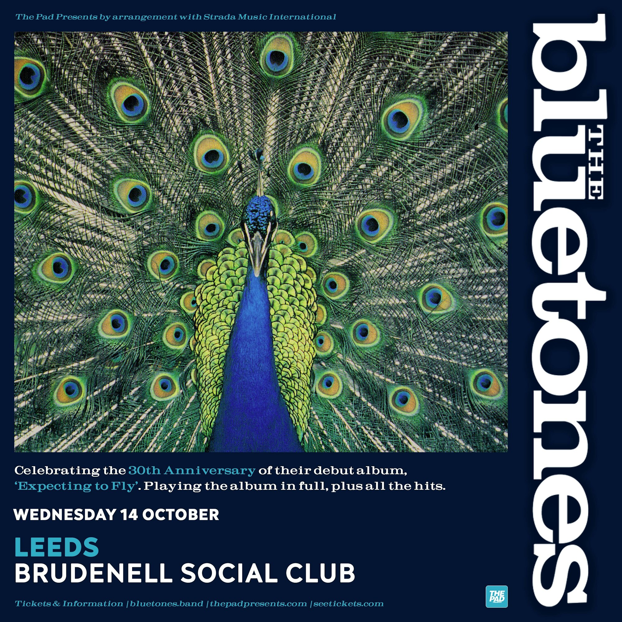 The Bluetones poster