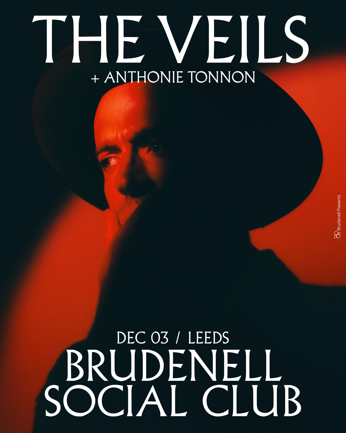 The Veils poster