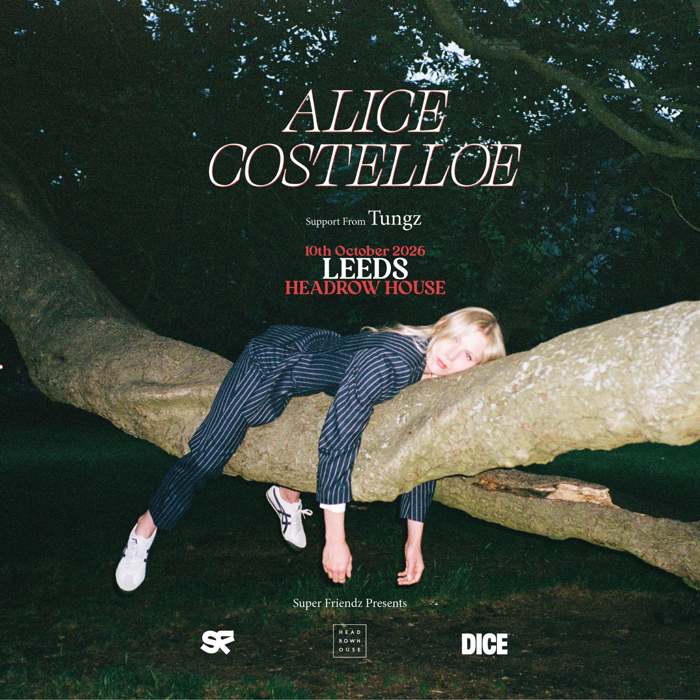 Alice Costelloe poster