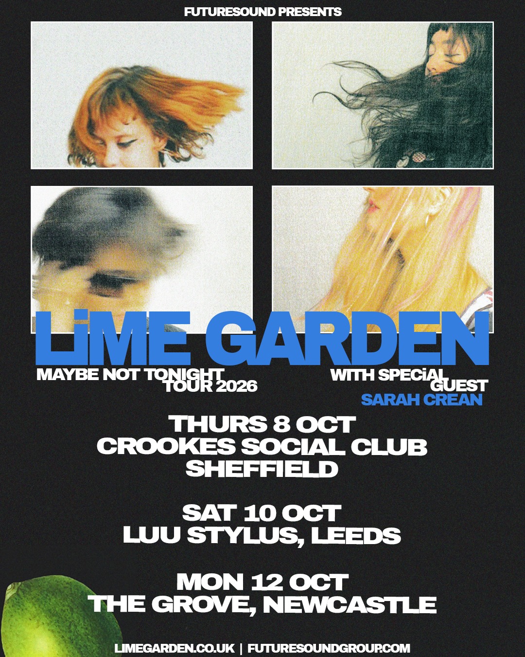 Lime Garden poster
