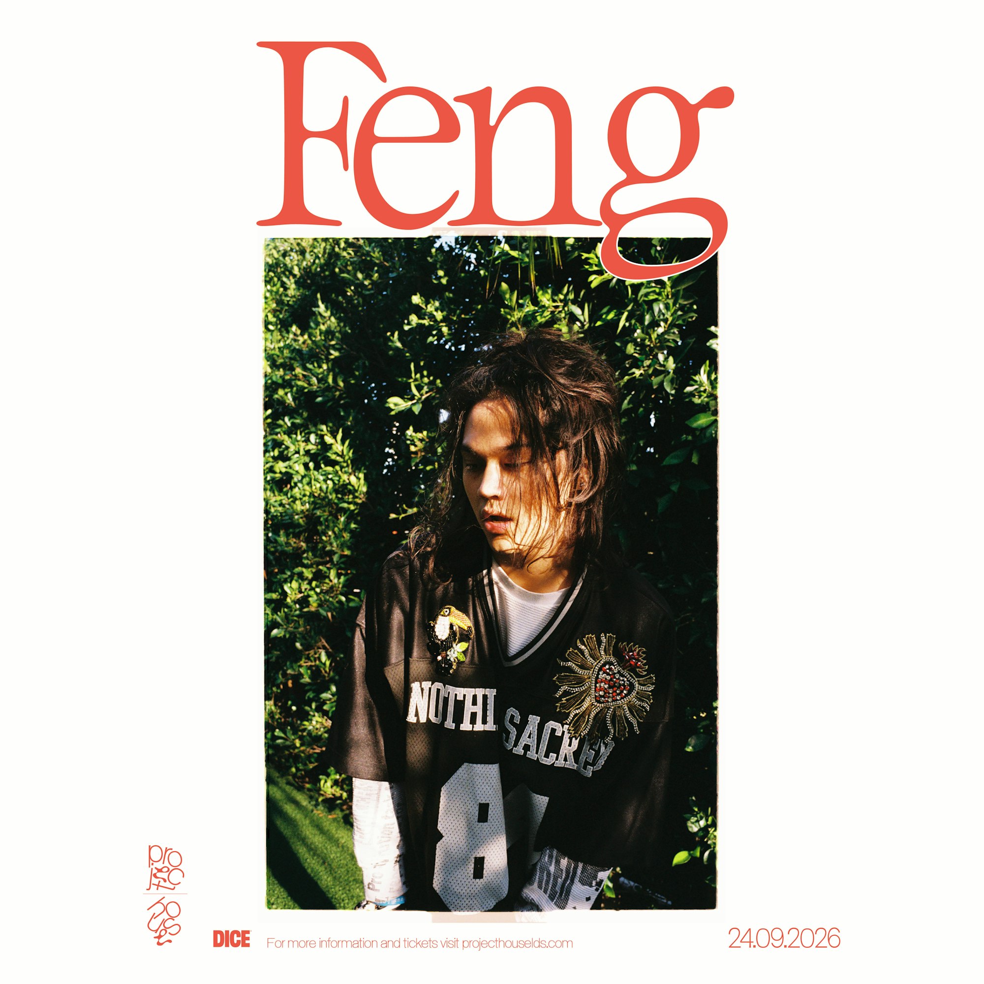 Feng poster