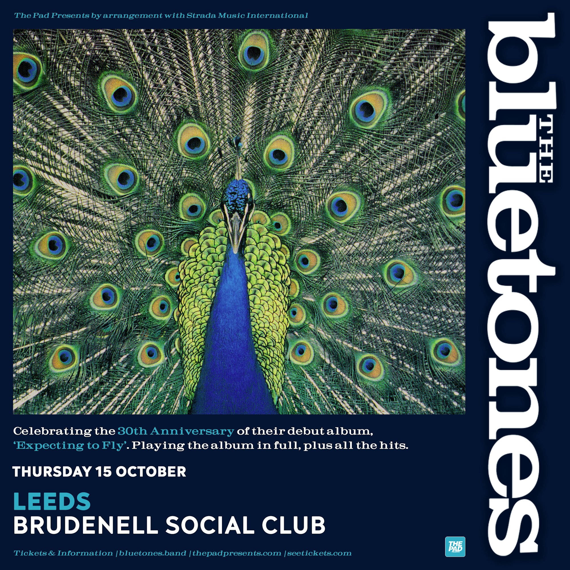 The Bluetones poster