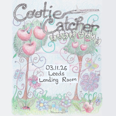 Cootie catcher poster