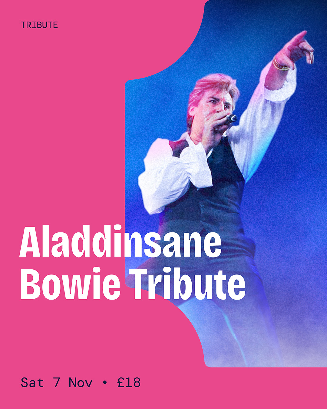 Aladdinsane: A Bowie Tribute poster