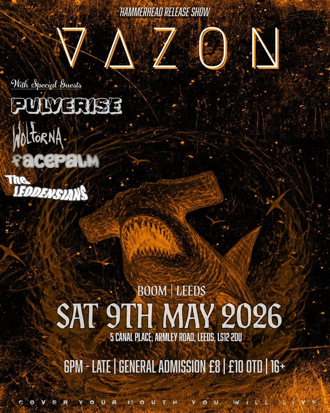 Vazon poster