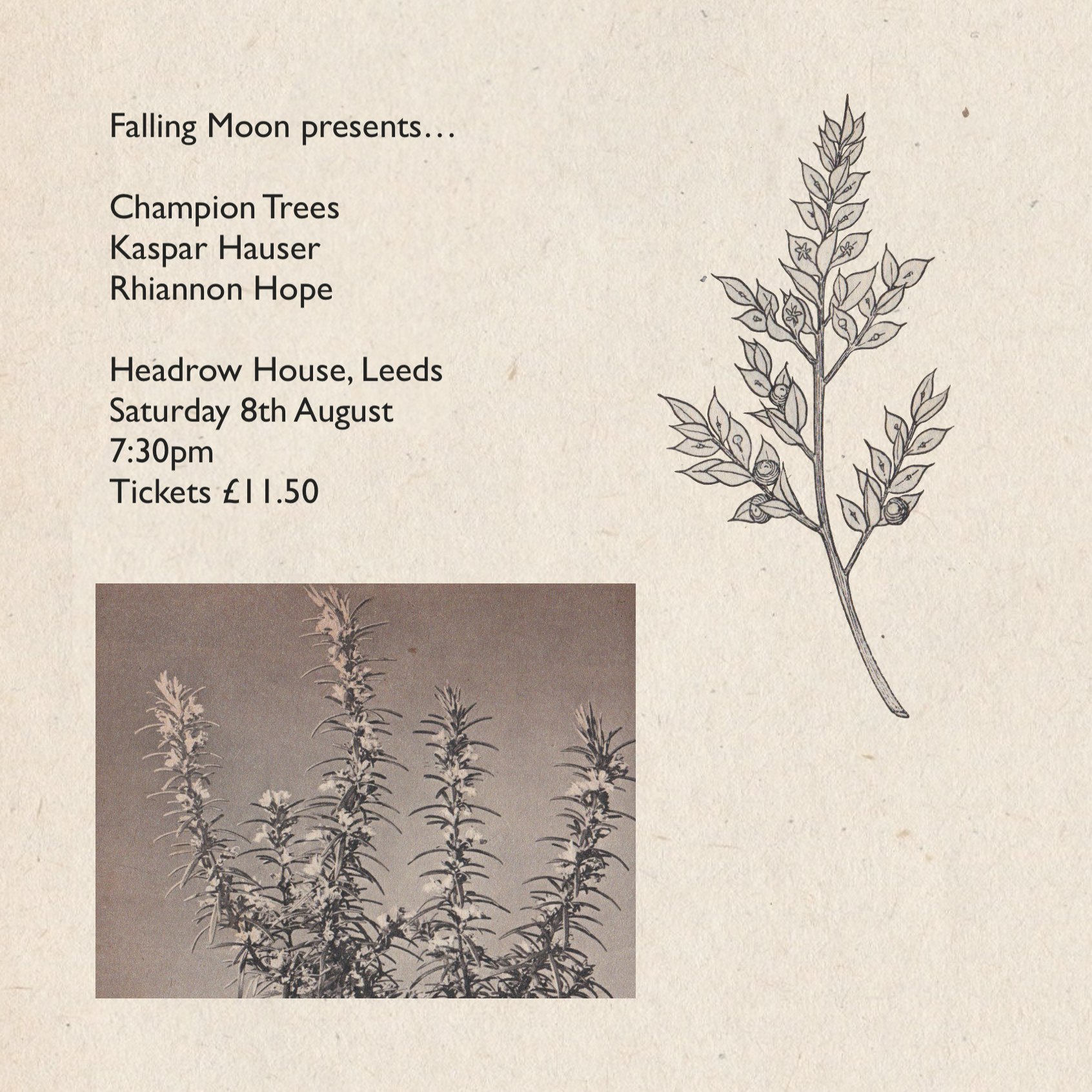 Champion Trees poster