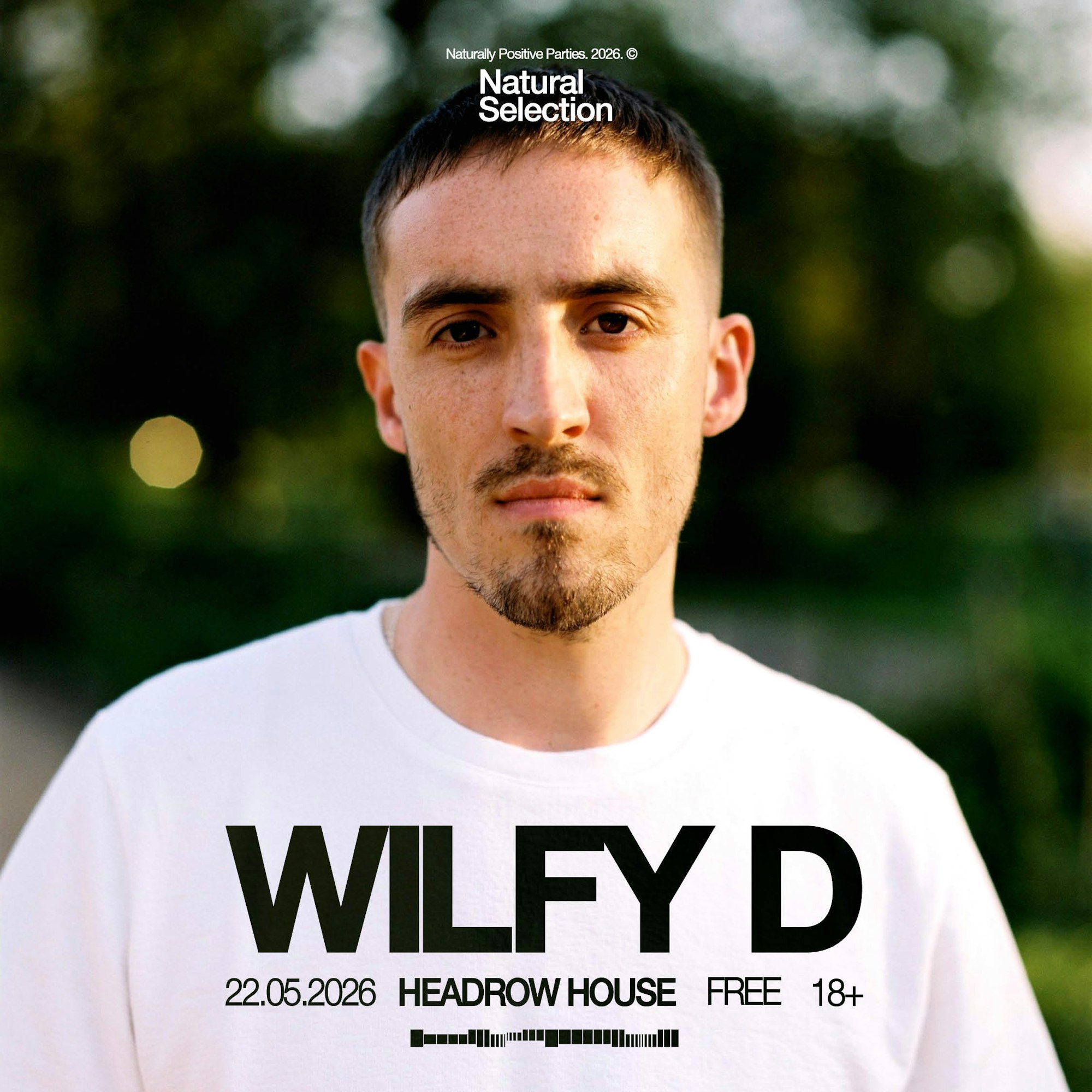 Wilfy D poster