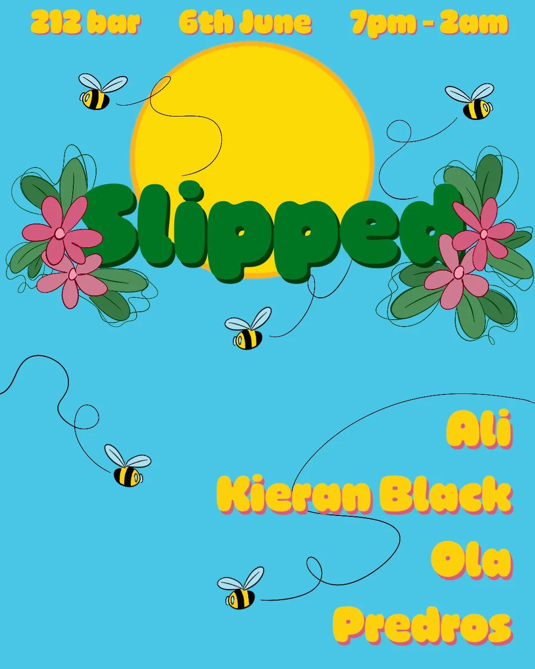 Slipped poster