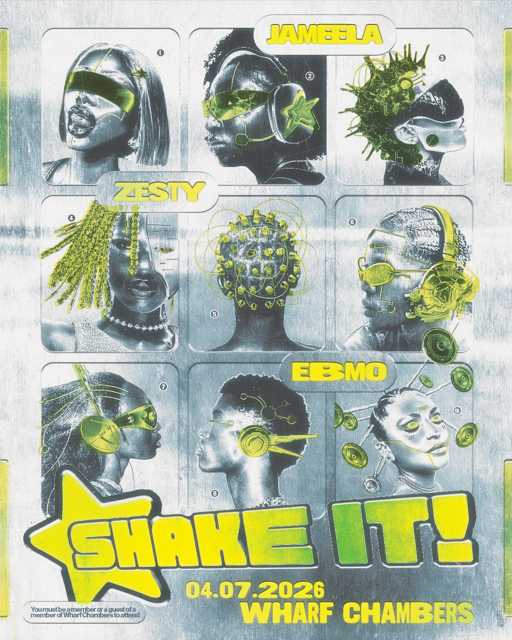 SHAKE IT poster