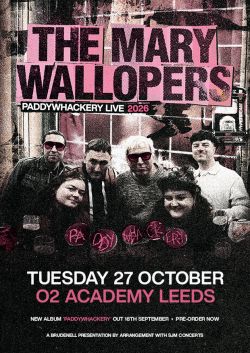 The Mary Wallopers poster