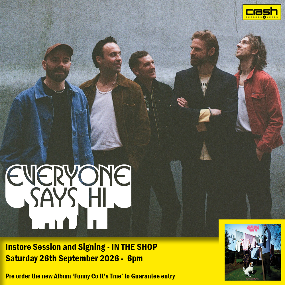 Everyone Says Hi poster