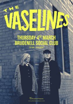 The Vaselines poster