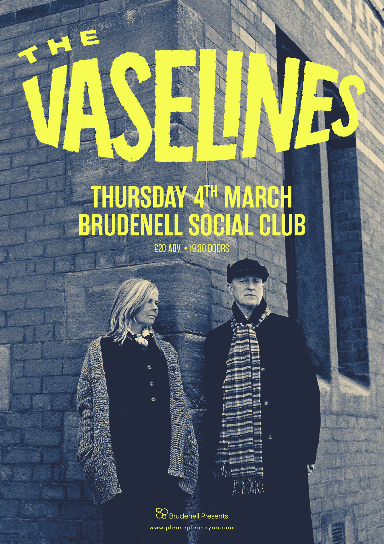 The Vaselines poster