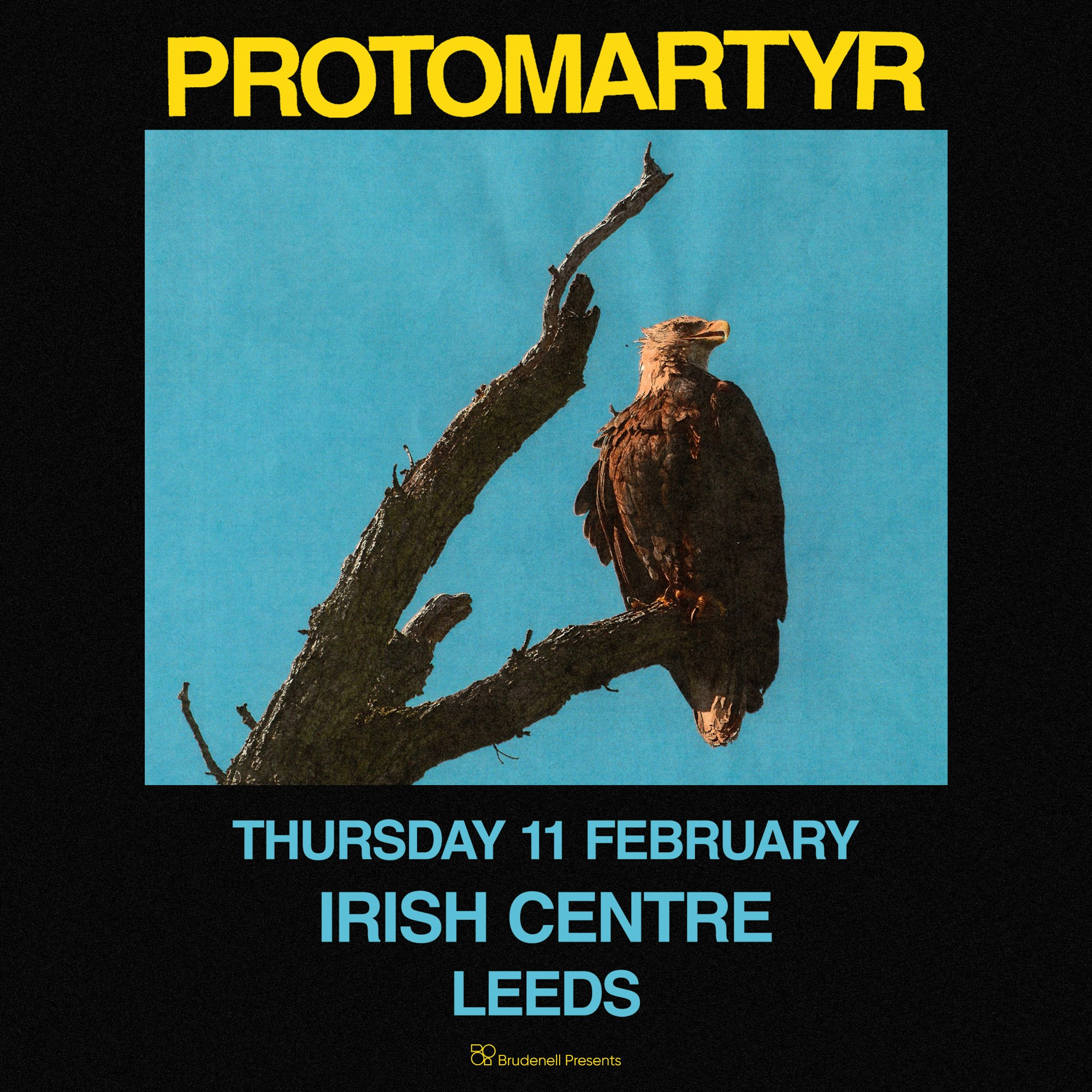 Protomartyr poster