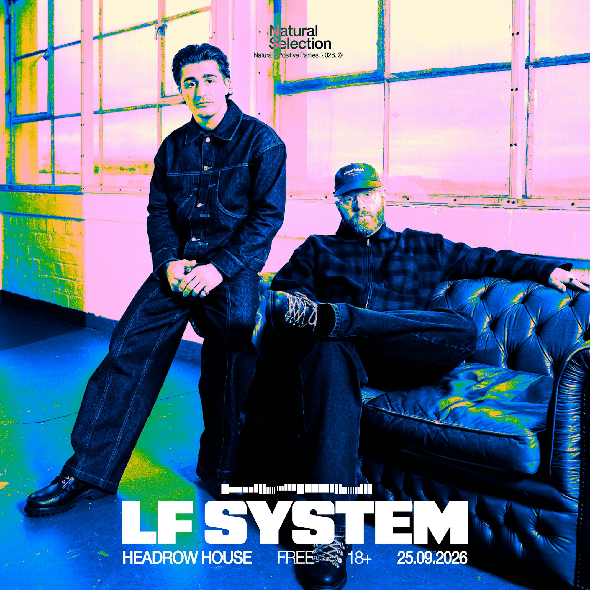 LF System poster