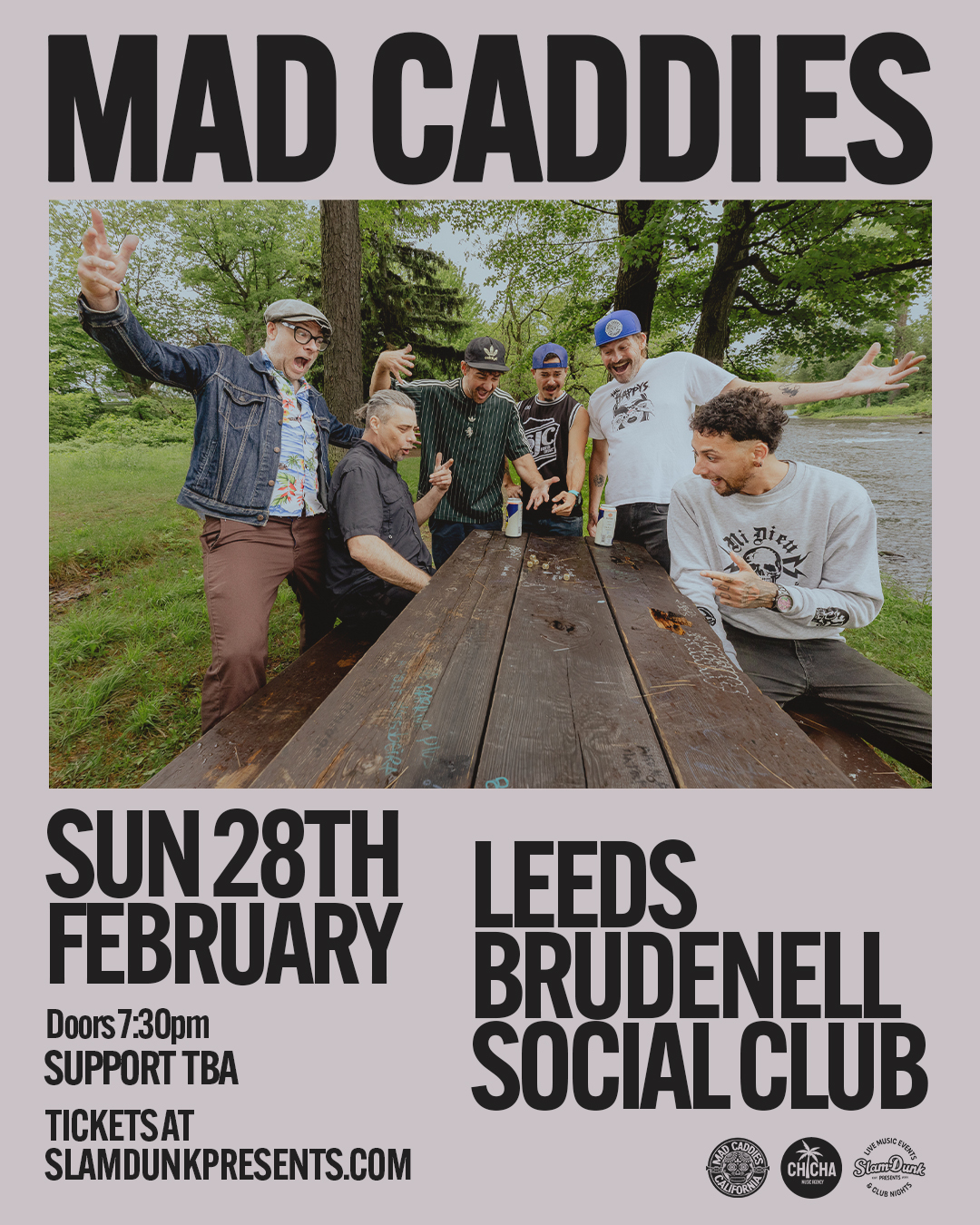 Mad Caddies poster