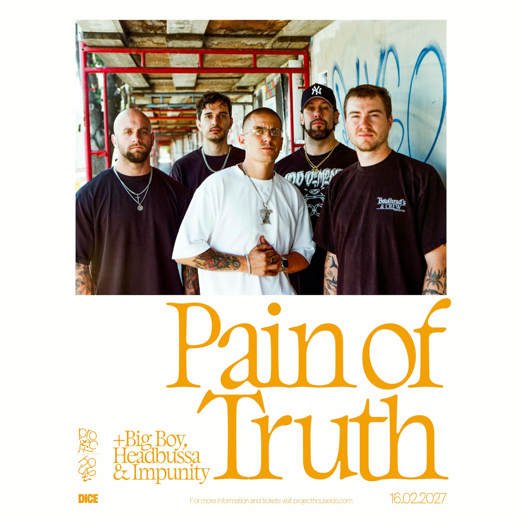 Pain of Truth poster