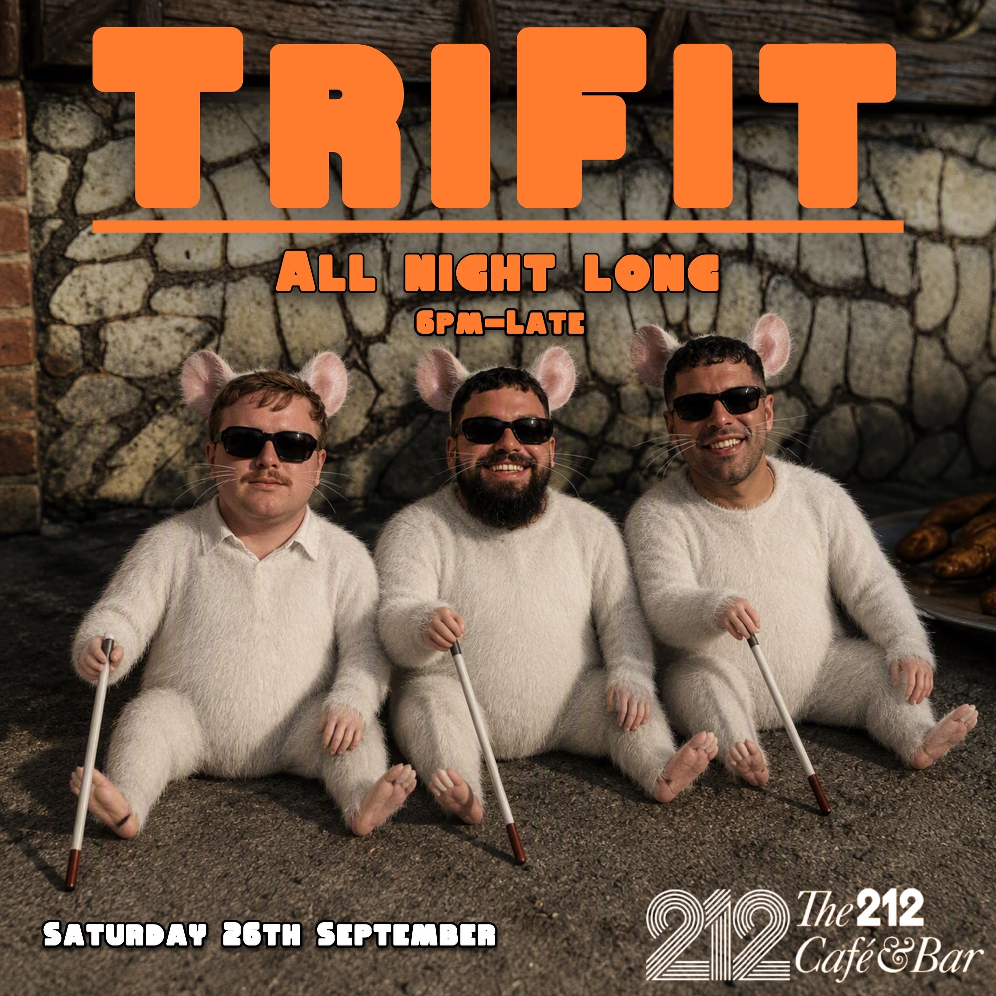 TriFit poster