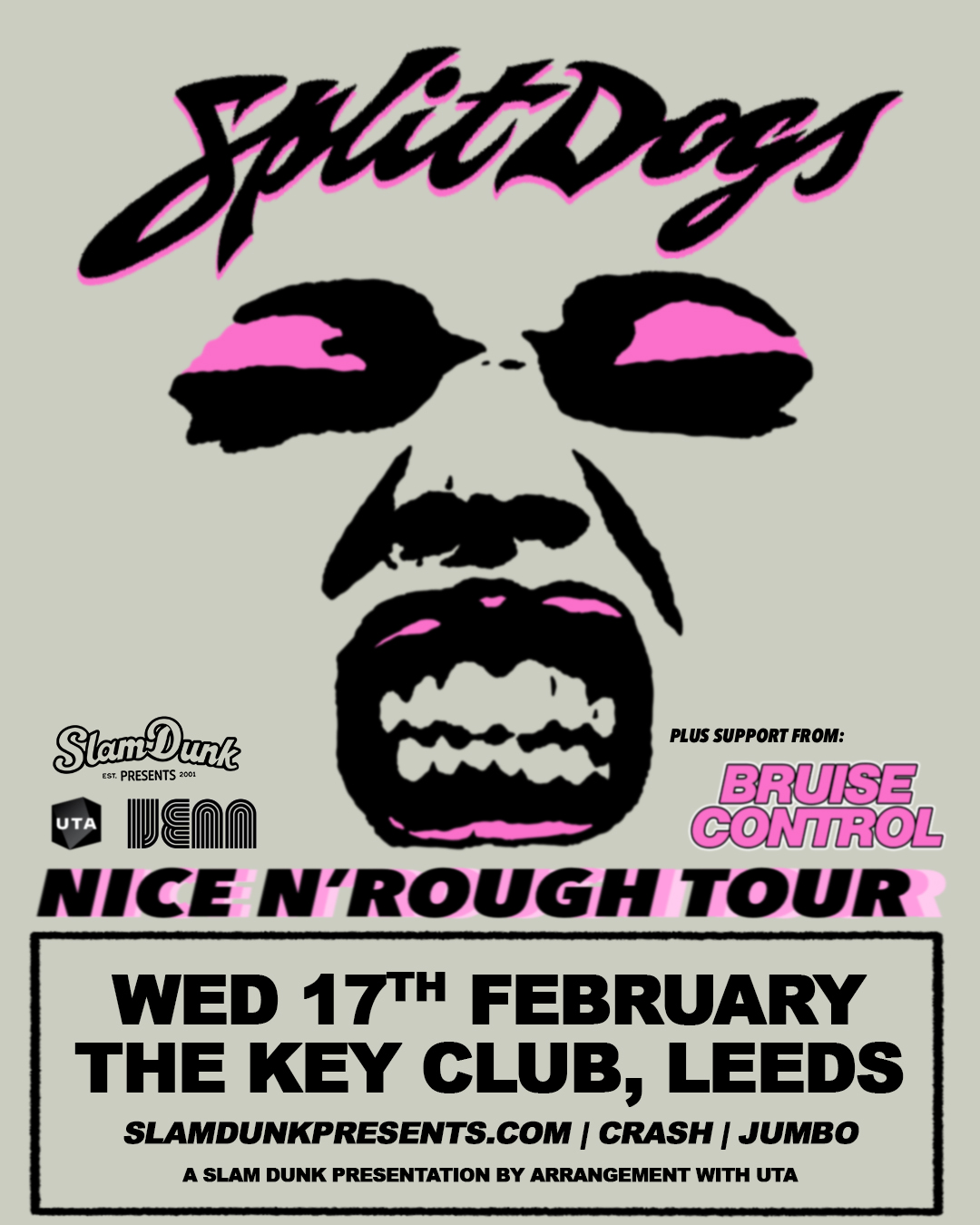 Splitdogs / Bruise Control poster