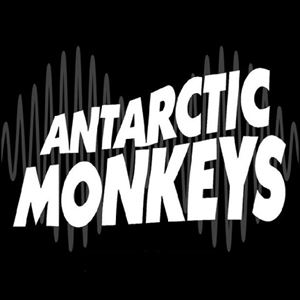 Antarctic Monkeys poster