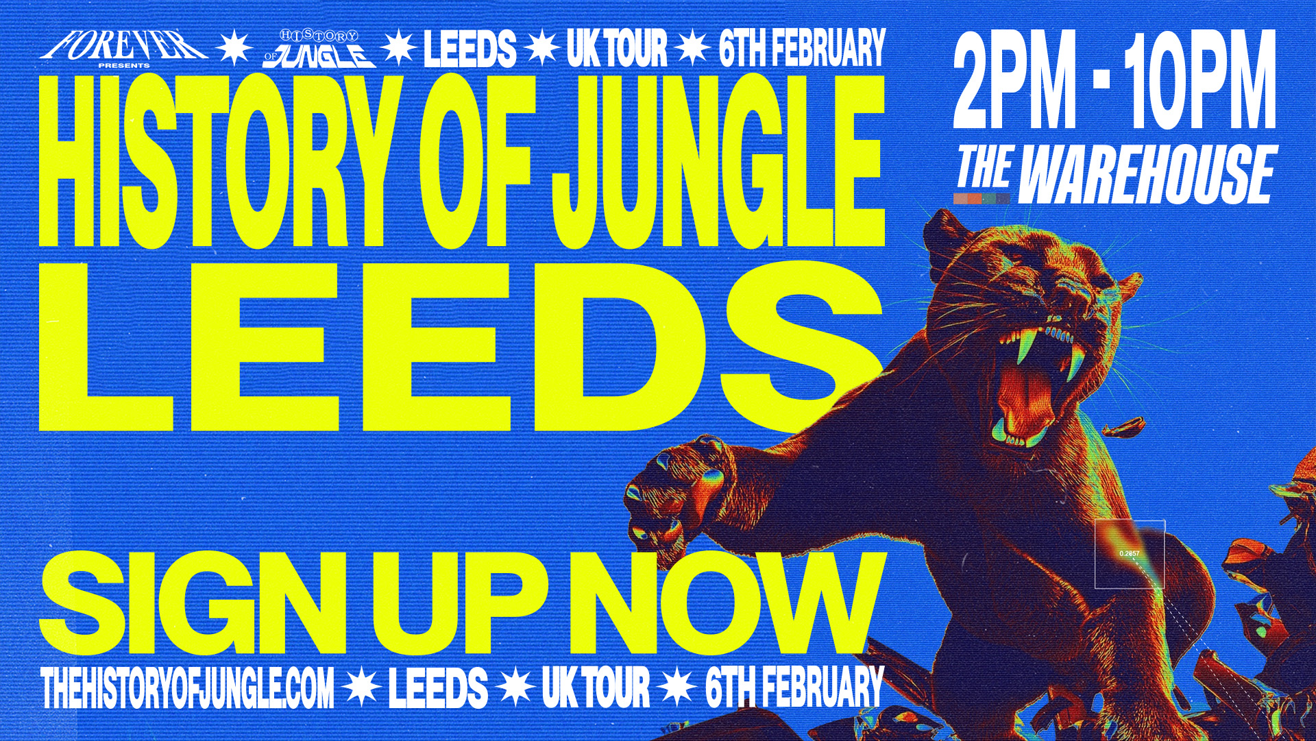 The History of Jungle poster