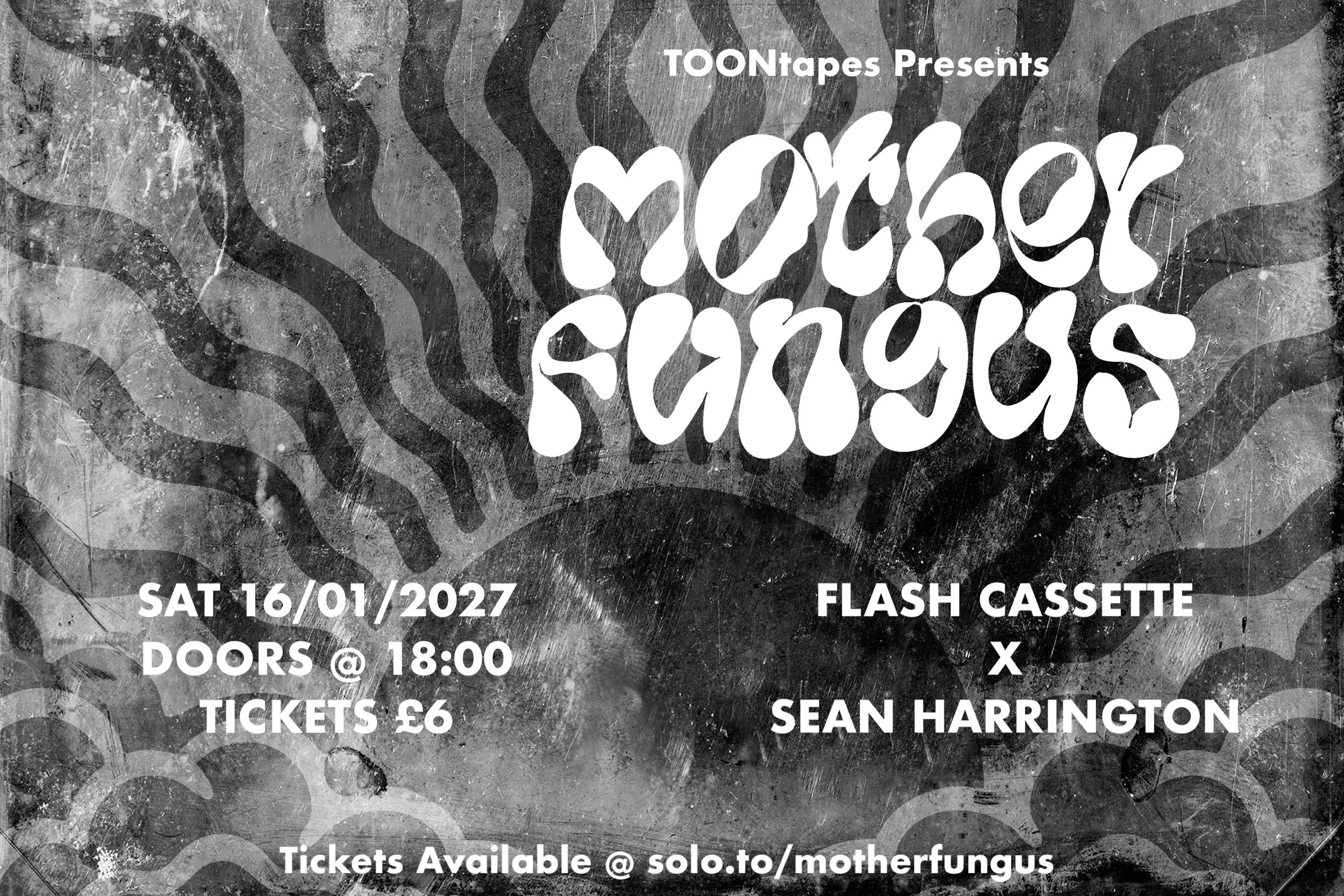 Mother Fungus poster