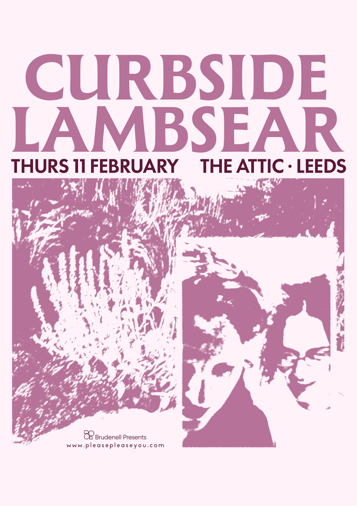 Curbside Lambsear poster