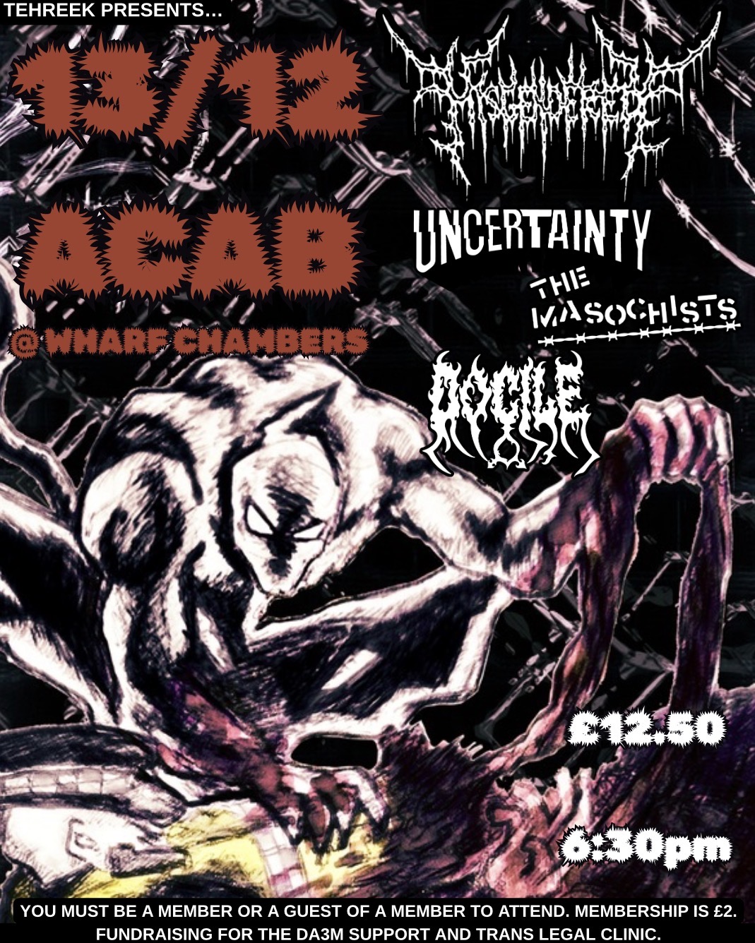 13/12 ACAB: Misgendered / Uncertainty / The Masochists / Docile poster