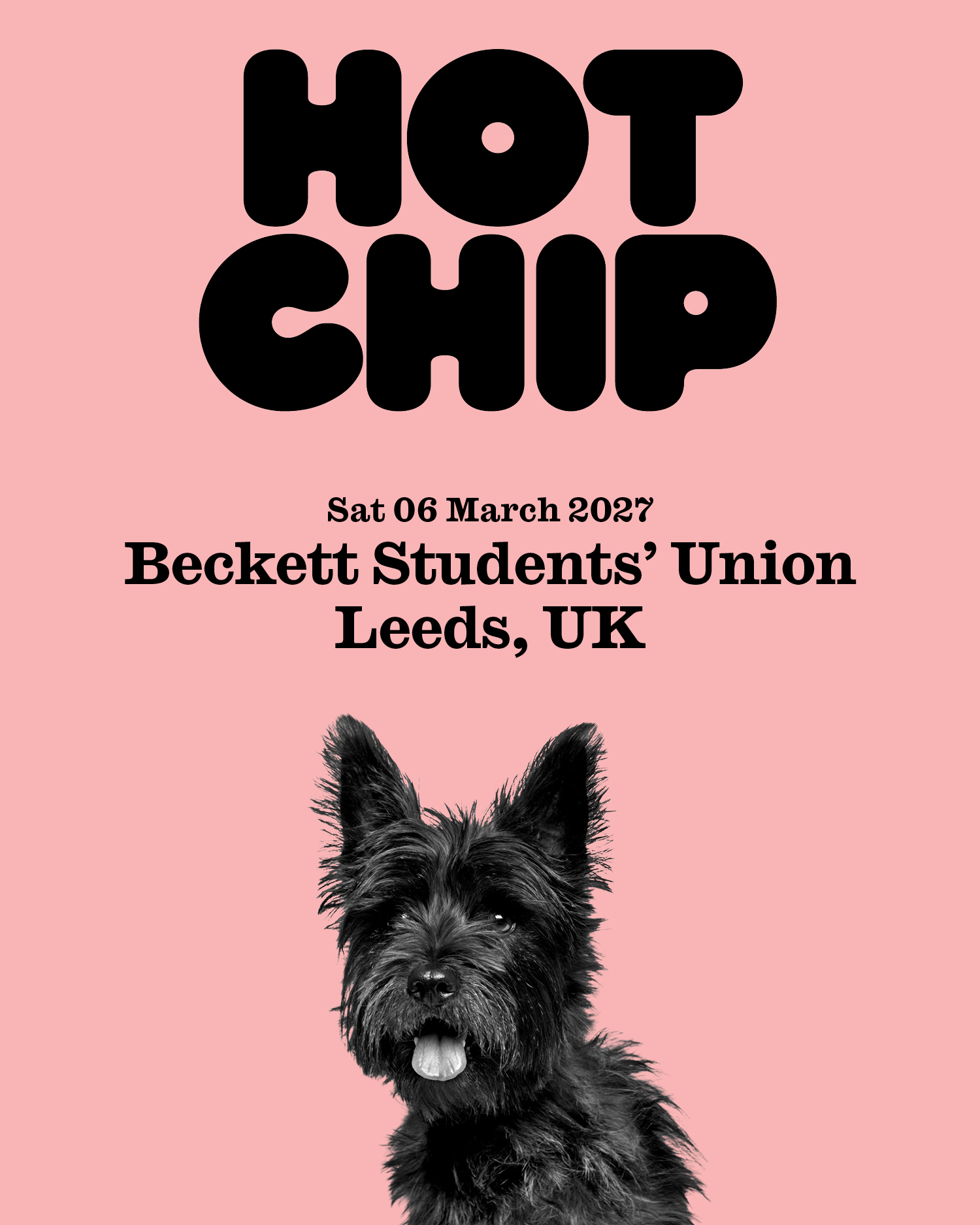 Hot Chip poster